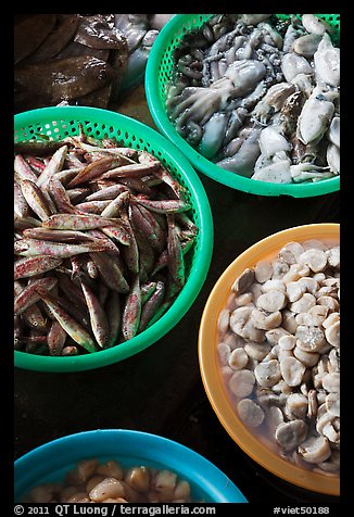 Close-up of seafood for sale in baskets, Duong Dong. Phu Quoc Island, Vietnam