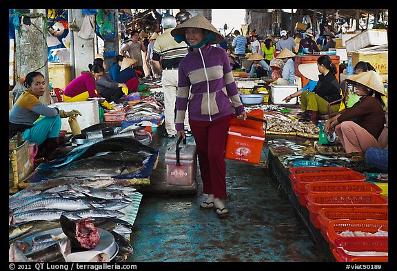 Fish market, Duong Dong. Phu Quoc Island, Vietnam (color)