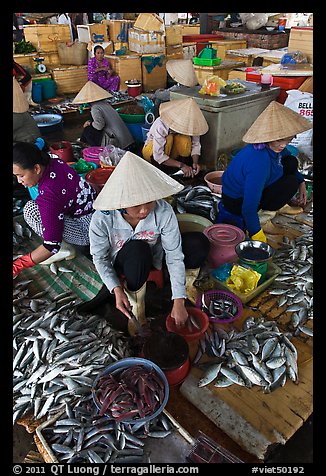 Women selling fish at market, Duong Dong. Phu Quoc Island, Vietnam (color)