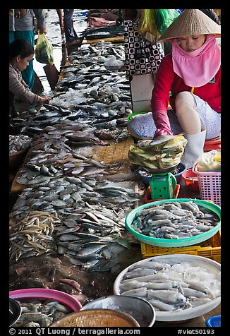 Fish for sale at public market, Duong Dong. Phu Quoc Island, Vietnam