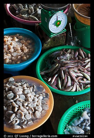 Close up of baskets of seafood and scale, Duong Dong. Phu Quoc Island, Vietnam