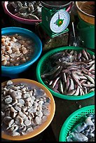 Close up of baskets of seafood and scale, Duong Dong. Phu Quoc Island, Vietnam (color)