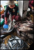 Woman cleans up fish for sale, Duong Dong. Phu Quoc Island, Vietnam