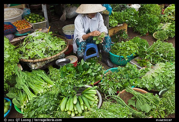 Woman selling vegetables at public market, Duong Dong. Phu Quoc Island, Vietnam (color)