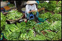 Woman selling vegetables at public market, Duong Dong. Phu Quoc Island, Vietnam (color)