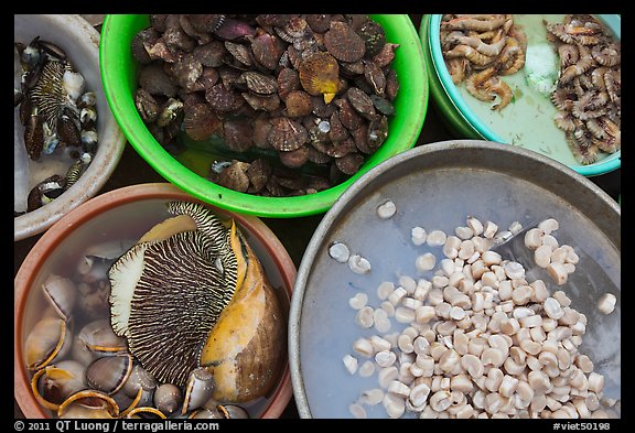 Close-up of seafood baskets, Duong Dong. Phu Quoc Island, Vietnam (color)