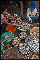 Customer purchasing fish at market, Duong Dong. Phu Quoc Island, Vietnam (color)