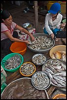 Customer purchasing fish at market, Duong Dong. Phu Quoc Island, Vietnam ( color)