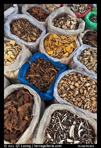 Close-up of dried foods in bags, Duong Dong. Phu Quoc Island, Vietnam (color)