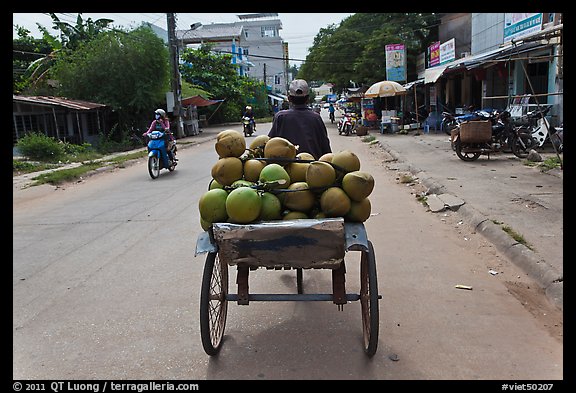 Cyclo carrying coconuts, Duong Dong. Phu Quoc Island, Vietnam (color)