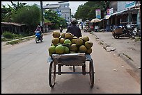 Cyclo carrying coconuts, Duong Dong. Phu Quoc Island, Vietnam