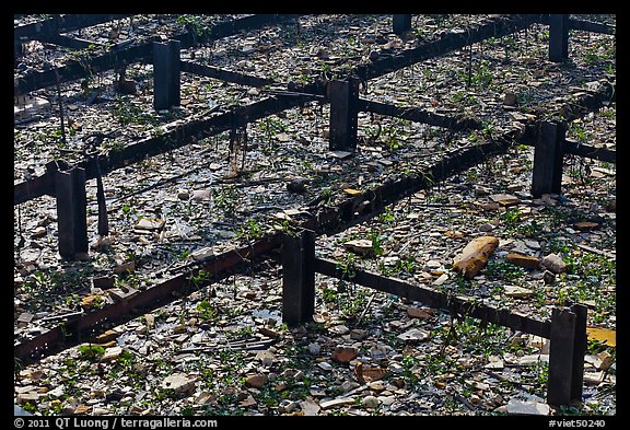 Floating debris. Ho Chi Minh City, Vietnam (color)