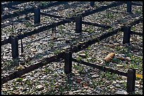 Floating debris. Ho Chi Minh City, Vietnam (color)