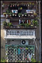 Windows with potted plants and laundry. Ho Chi Minh City, Vietnam (color)