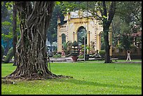 Tree, lawn, and gate, Van Hoa Park. Ho Chi Minh City, Vietnam