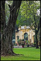 Banyan tree and gate, Cong Vien Van Hoa Park. Ho Chi Minh City, Vietnam (color)