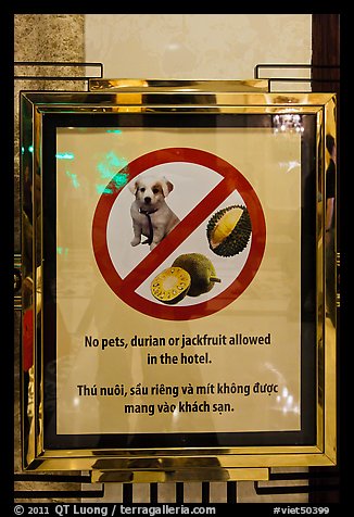 Hotel sign prohibiting smelly tropical fruits. Ho Chi Minh City, Vietnam (color)