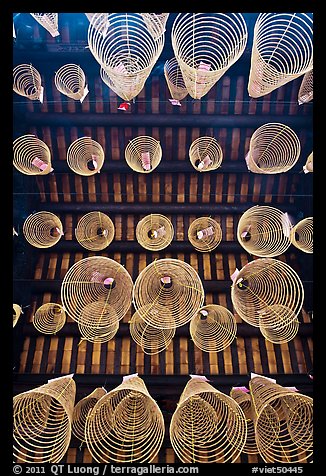 Incense coils seen from below, Thien Hau Pagoda, district 5. Cholon, District 5, Ho Chi Minh City, Vietnam