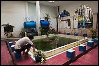 Man sitting in mosque pool, Cholon Mosque. Cholon, District 5, Ho Chi Minh City, Vietnam (color)