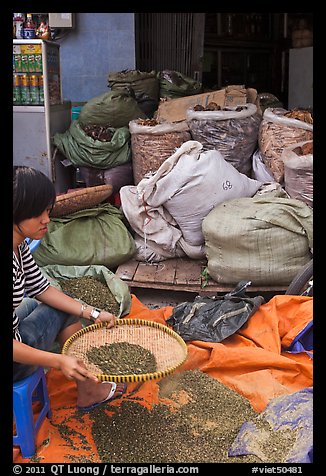 Woman preparing traditional medicine ingredients. Cholon, Ho Chi Minh City, Vietnam (color)