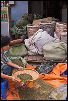 Woman preparing traditional medicine ingredients. Cholon, Ho Chi Minh City, Vietnam (color)