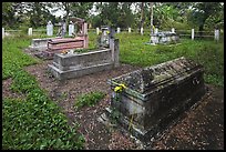 Luong family cemetery. Ben Tre, Vietnam (color)