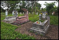 Graves in family cemetery with fresh offerings. Ben Tre, Vietnam (color)