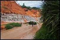 Woman carrying leaves through Fairy Stream. Mui Ne, Vietnam (color)