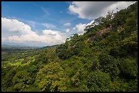 Hillside covered in verdant vegetation. Ta Cu Mountain, Vietnam ( color)