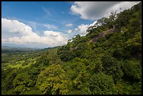 Hillside covered in verdant vegetation. Ta Cu Mountain, Vietnam (color)