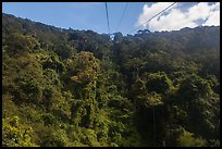 Tropical forest seen from cable car. Ta Cu Mountain, Vietnam (color)