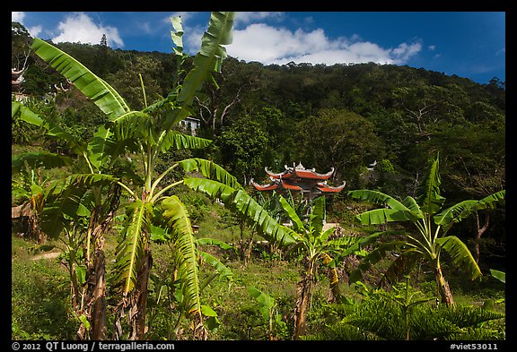 Banana trees, hill, and temple gate. Ta Cu Mountain, Vietnam (color)