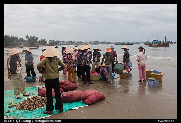 Shore activity in front of Lang Chai fishing village. Mui Ne, Vietnam (color)
