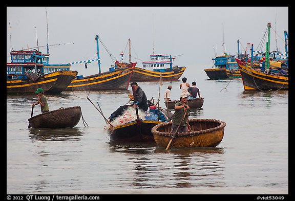 Men use round woven boats to disembark from fishing boats. Mui Ne, Vietnam