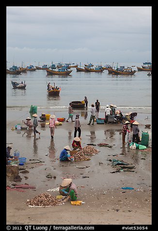 Fishing activity on beach near Lang Chai. Mui Ne, Vietnam