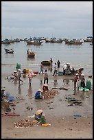 Fishing activity on beach near Lang Chai. Mui Ne, Vietnam (color)