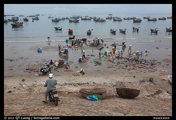 Man on motorbike looks over beach and harbor. Mui Ne, Vietnam (color)