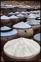 Fish sauch being aged in vats. Mui Ne, Vietnam ( color)