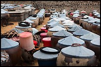 Vats of Nuoc Mam Fish Sauce. Mui Ne, Vietnam ( color)