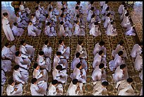 Worshippers dressed in white pray in neat rows in Cao Dai temple. Tay Ninh, Vietnam (color)