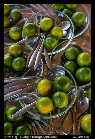 Spoons and fruit, Phoenix Island. My Tho, Vietnam