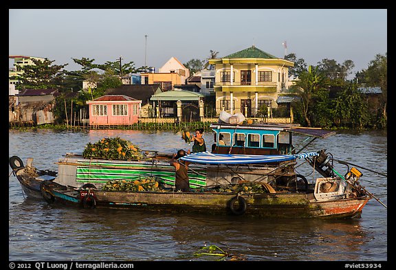 People moving pinapples from boat to boat on river. Can Tho, Vietnam