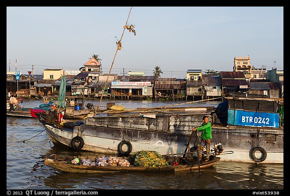 Woman steering boat with pineapple fruit, Cai Rang floating market. Can Tho, Vietnam (color)