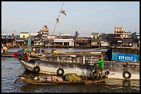 Woman steering boat with pineapple fruit, Cai Rang floating market. Can Tho, Vietnam ( color)