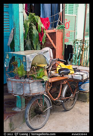 Altar on bicycle. Can Tho, Vietnam (color)