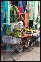 Altar on bicycle. Can Tho, Vietnam (color)