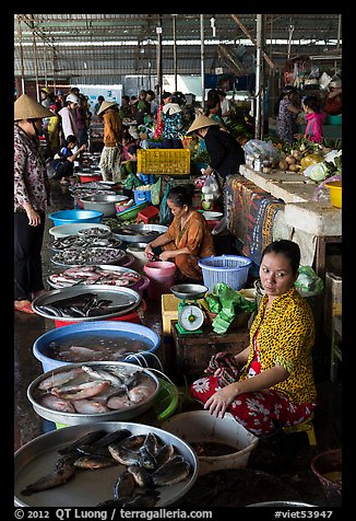 Fishmongers, Cai Rang. Can Tho, Vietnam (color)