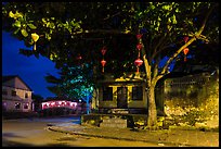 Tree with paper lanterns in Japanese Bridge area at night. Hoi An, Vietnam ( color)