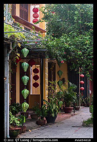 Sidewalk and houses with paper lanterns and lush vegetation. Hoi An, Vietnam