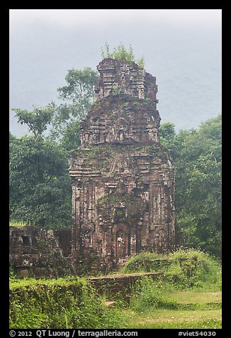 Ruined cham tower in the mist. My Son, Vietnam